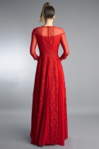 Back View