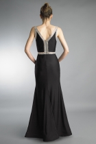 Back View