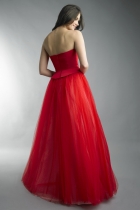 Back View