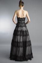 Back View