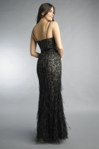 Back View
