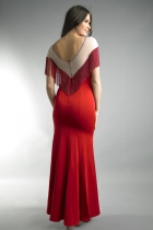 Back View