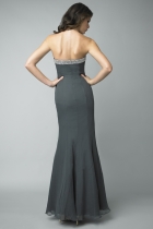 Back View