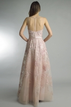 Back View