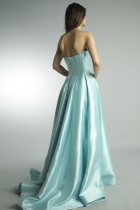 Back View