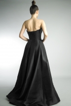 Back View