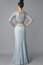 Back View