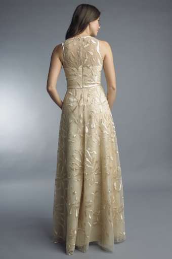 Embroidered sleeveless evening gown