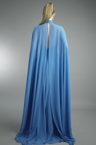 Back View