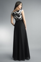 Back View