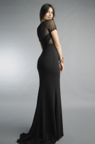 Back View