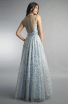 Back View