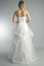 Back View