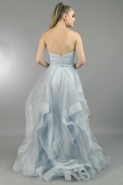 Back View