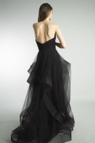 Back View