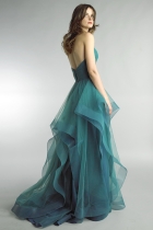 Back View