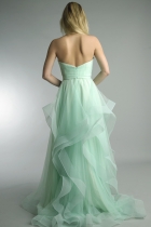 Back View