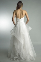 Back View