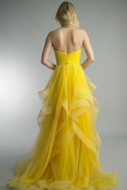 Back View