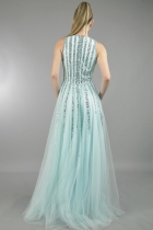 Back View