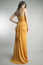 Back View