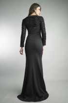 Back View
