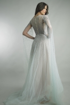 Back View