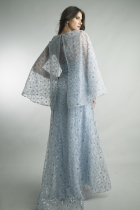 Back View