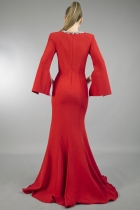Back View
