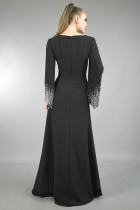 Back View