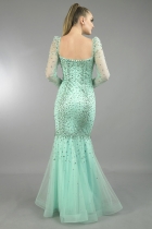 Back View
