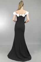 Back View