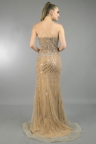 Back View