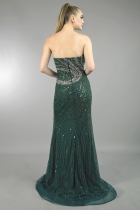 Back View