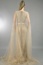 Back View