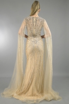 Back View