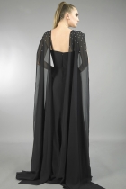 Back View