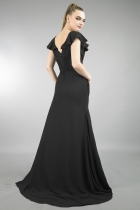 Back View