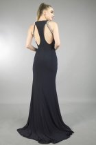 Back View
