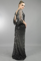 Back View