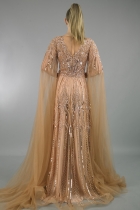 Back View
