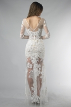 Back View