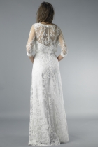 Back View