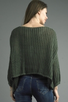 Back View
