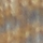 RUST