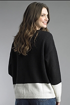 Back View